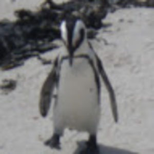 Meet your Posher, May